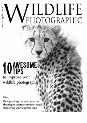 Wildlife Photographic 2013 №09-10