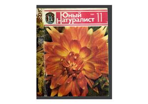 Юный натуралист 1984 №11