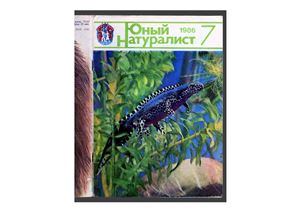 Юный натуралист 1986 №07