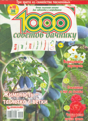 1000 советов дачнику 2016 №10