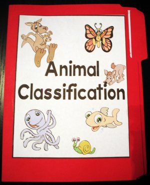 Classifying Animals! Animal Vocabulary