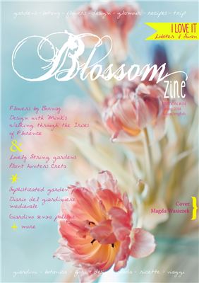Blossom zine 2014 Edition №04 Spring