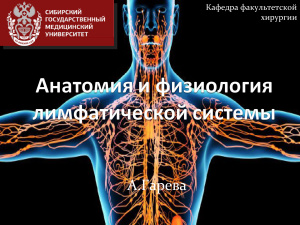 Анатомия и физиология лимфатической системы