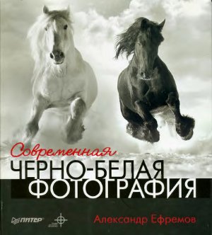 Ефремов А. Современная черно-белая фотография