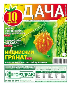 Дача Pressa.ru 2014 №11