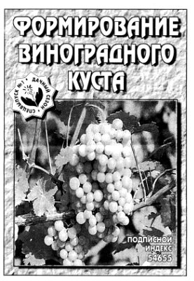 Синицин А. Формирование виноградного куста