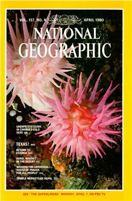 National Geographic 1980 №04