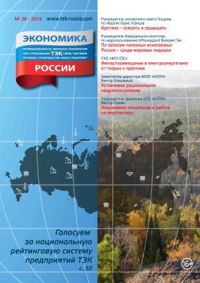 Экономика и ТЭК России 2015 №28