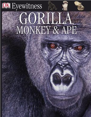 Redmond I. Eyewitness Books: Gorilla, Monkey &amp; Ape