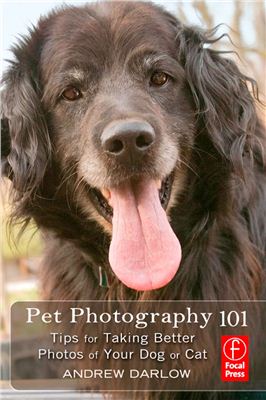 Darlow A. Pet photography 101: tips for taking better photos of your dog or cat