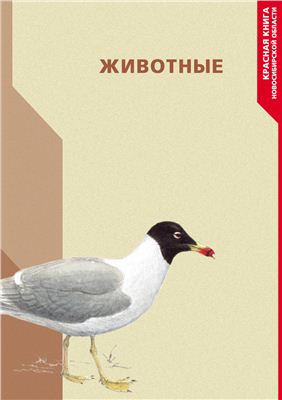 Красная Книга Новосибирской области. Животные