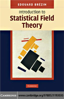 Brezin E. Introduction to Statistical Field Theory