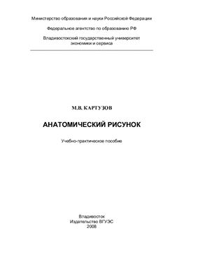 Картузов М.В. Анатомический рисунок