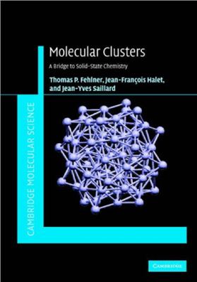 Fehlner T.P., Halet J.-F., Saillard J.-Y. Molecular Clusters: A Bridge to Solid-State Chemistry