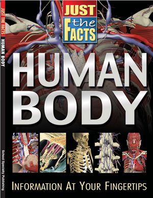 Just The Facts: Human Body