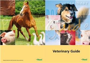 Heel. Ветеринарное руководство (англ.)