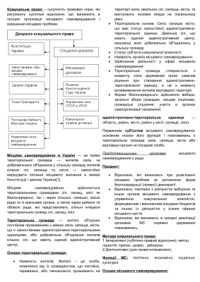 Шпаргалка з муніципального права України