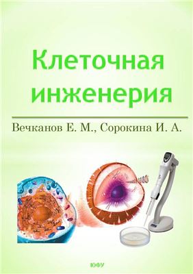 Вечканов Е.М., Сорокина И.А. Основы клеточной инженерии