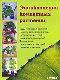 Шешко Н., Логачева Н. Энциклопедия комнатных растений