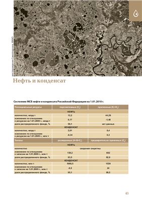 Государственный доклад О состоянии и использовании минерально-сырьевых ресурсов Российской Федерации в 2010 году