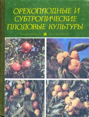 Ядров А.А. и др. Орехоплодные и субтропические плодовые культуры
