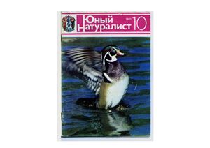 Юный натуралист 1981 №10