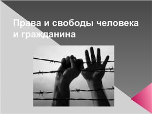 Реферат по теме Права и свободы человека в России