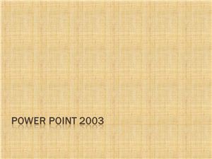 Основы Power Point 2003