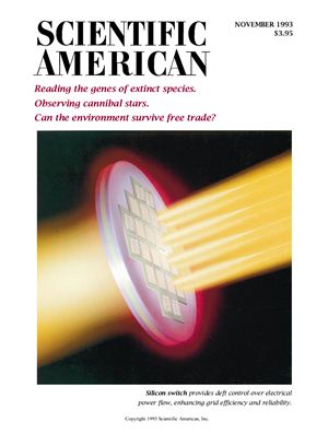 Scientific American 1993 №11