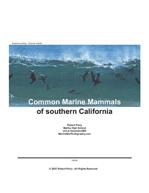 Perry R. Common Marine Mammals of southern California