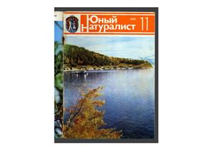 Юный натуралист 1982 №11