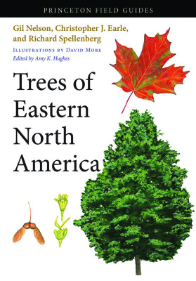 Nelson G., Earle C.J., Spellenberg R., Hughes A.K., More D. Trees of Eastern North America (Деревья востока Северной Америки)