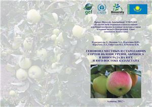 Нурмуратулы Т. и др. Генофонд местных и стародавних сортов яблони, груши, абрикоса и винограда на юге и юго-востоке Казахстана