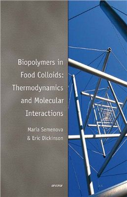 Semenova M., Dickinson E. Biopolymers in Food Colloids: Thermodynamics and Molecular Interactions
