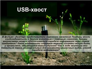 USB-хвост + доклад