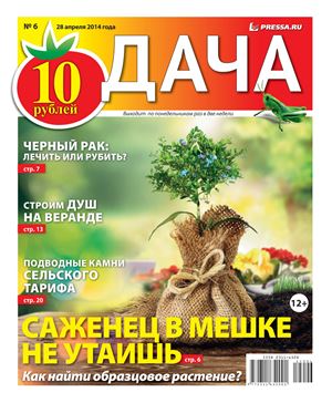 Дача Pressa.ru 2014 №06