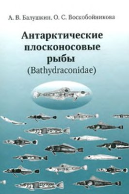Балушкин А.В. и др. Антарктические плосконосовые рыбы (Bathydraconidae)