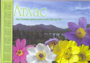 Беркутенко А.Н. Атлас растений Магаданской области