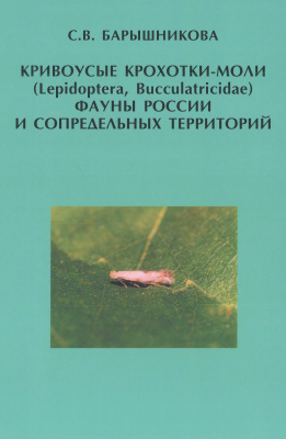 Барышникова С.В. Кривоусые крохотки-моли (Lepidoptera, Bucculatricidae) фауны России и сопредельных территорий