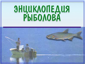 Энциклопедия рыболова