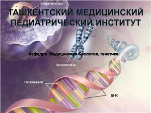 Проект Геном Человека