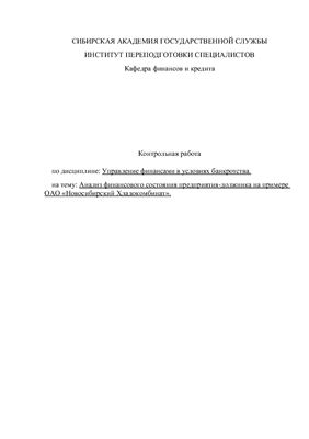 Анализ финансового состояния предприятия-должника на примере ОАО Новосибирский Хладокомбинат