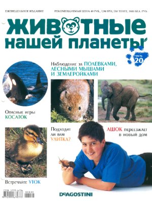 Животные нашей планеты 2008 №020