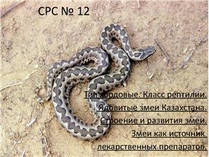 Змеи Казахстана