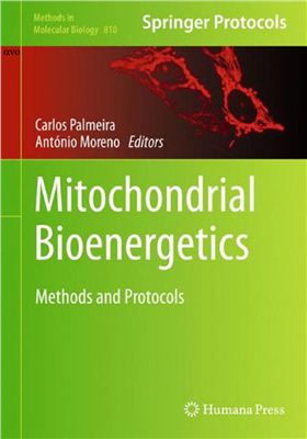 Palmeira C.M., Moreno F.J. (Eds.). Mitochondrial Bioenergetics: Methods and Protocols