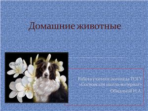 Конспект и презентация логопедического занятия Домашние животные