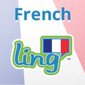 Kaufmann Steve. French LingQ: Beginner