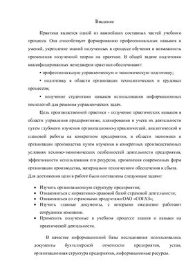 Отчет по производственной практике в ОАО СОГАЗ (Иркутск)