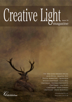 Creative Light 2017 №18