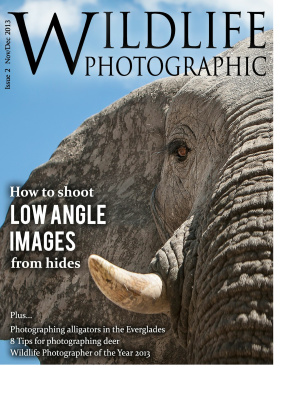 Wildlife Photographic 2013 №11-12